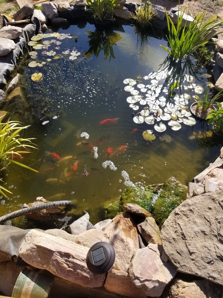 Absolute Landscaping and Pond Maintenance LLC 10 Sarah Ln, Moriarty New Mexico 87035
