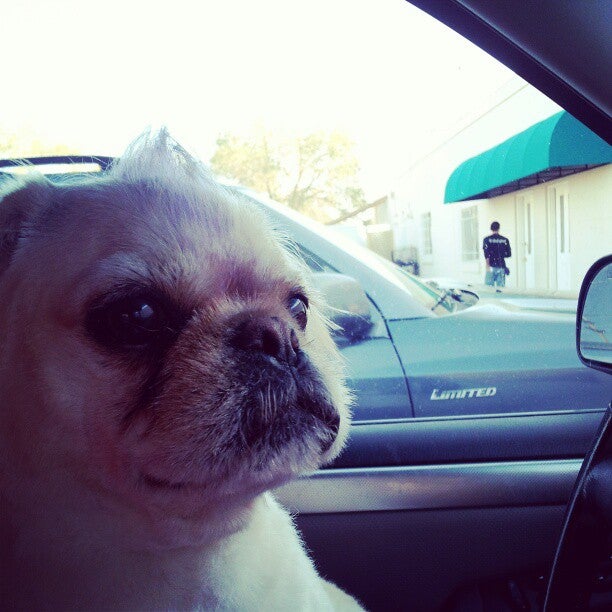 Photo credit: yellowpages