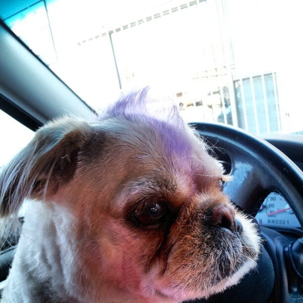 Photo credit: yellowpages