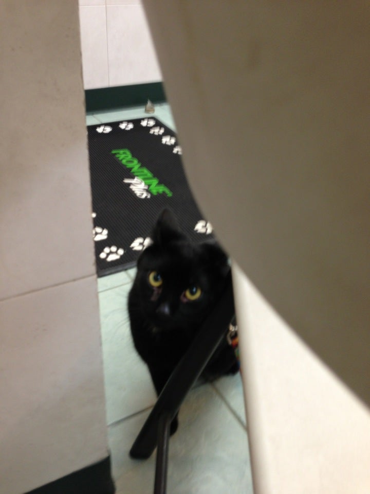 Photo credit: yellowpages