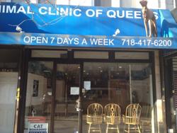 Animal Clinic of Queens