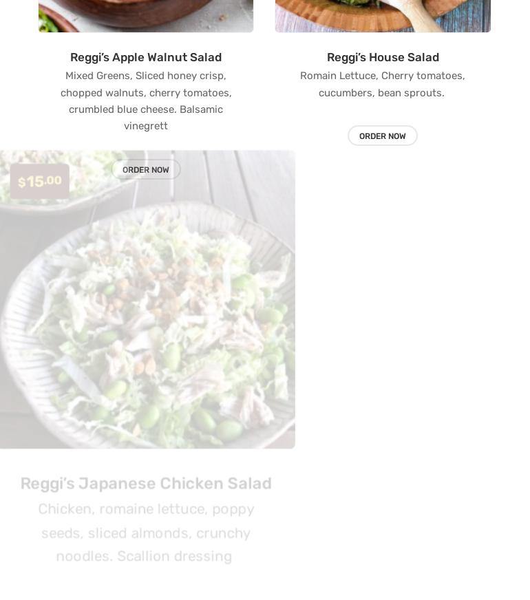 Reggi’s Surf Side Menu