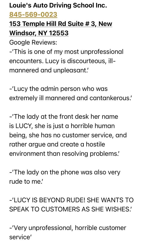 Louie's Auto Driving School Inc.