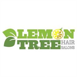 Lemon Tree Hair Salon Deer Park / N. Babylon