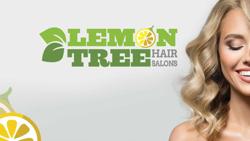 Lemon Tree Hair Salon Shirley