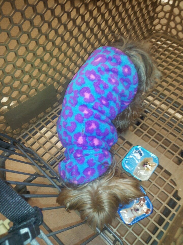 Photo credit: yellowpages