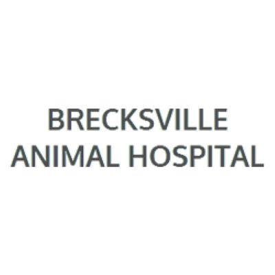 Brecksville Animal Hospital 13019 Chippewa Rd, Brecksville Ohio 44141