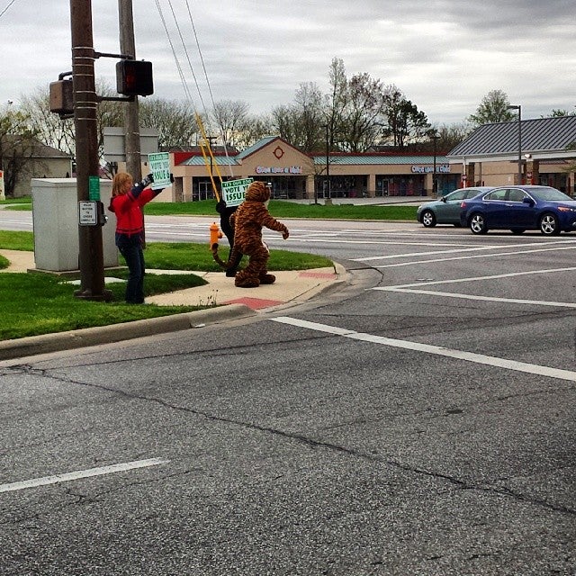 Photo credit: yellowpages