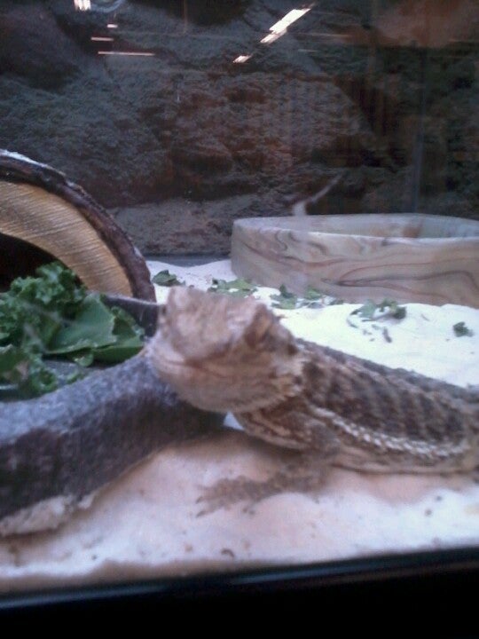 Photo credit: yellowpages