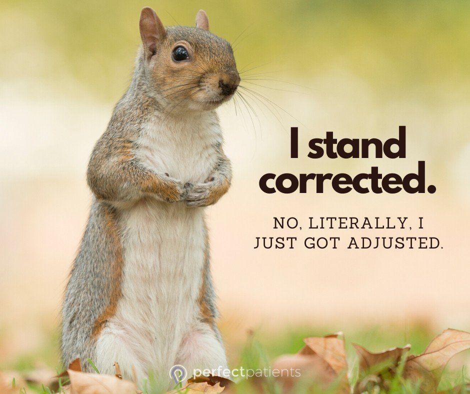 Photo credit: 
