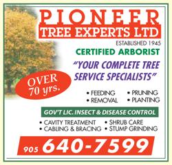 Pioneer Tree Experts Ltd
