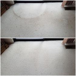 Tomlinson Carpet Cleaning