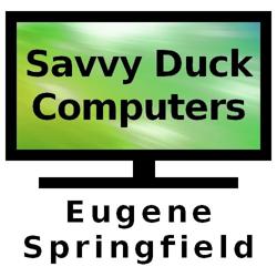Savvy Duck Computers