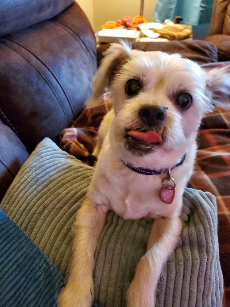 Dr. Kathleen E. Hanifen Salem