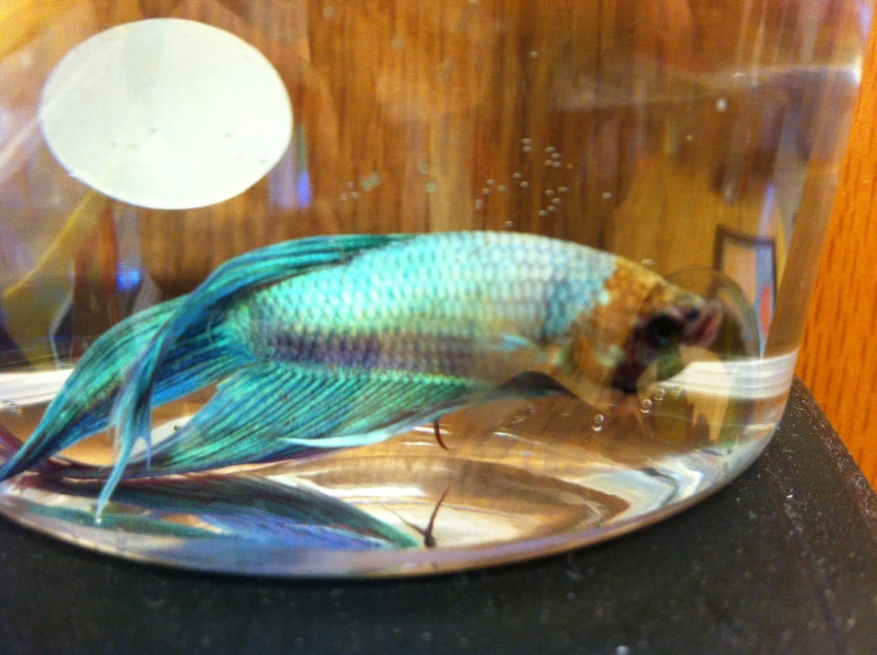 Photo credit: yellowpages