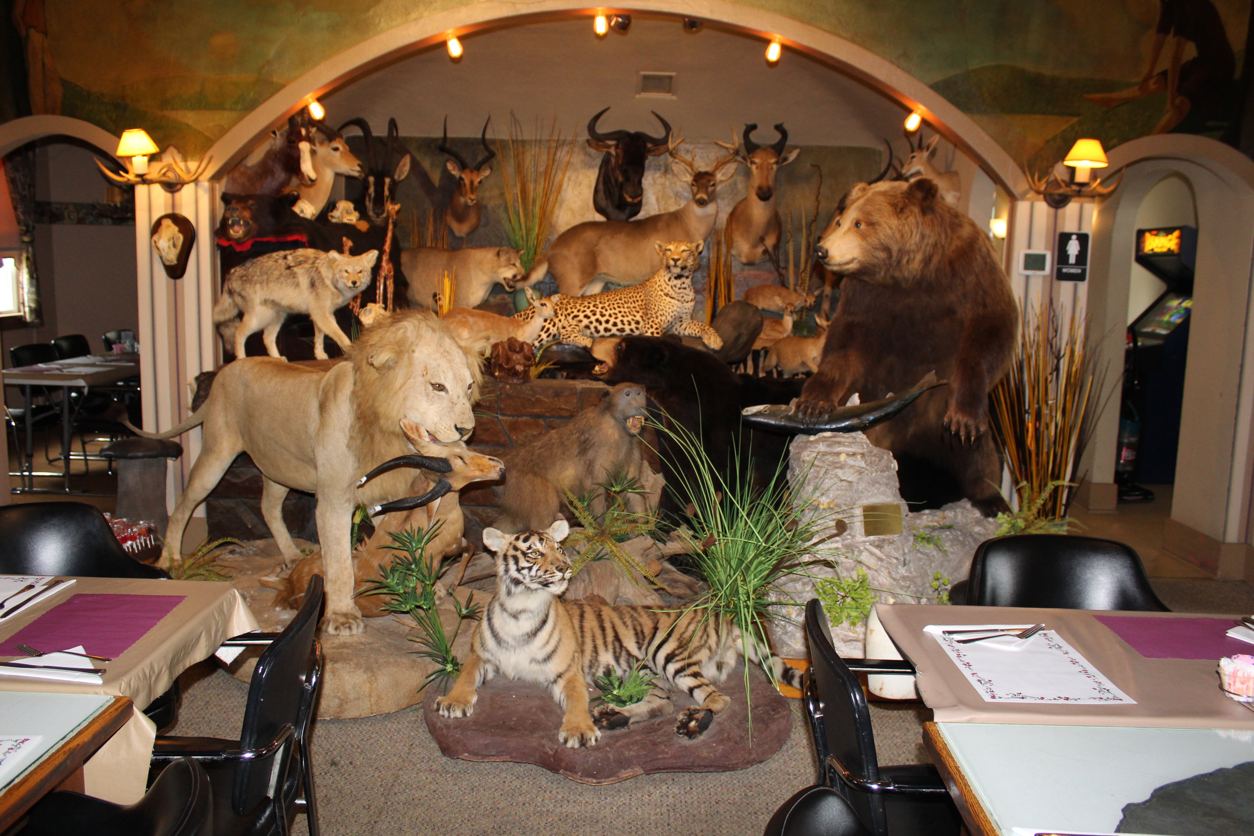 Photo credit: tripadvisor