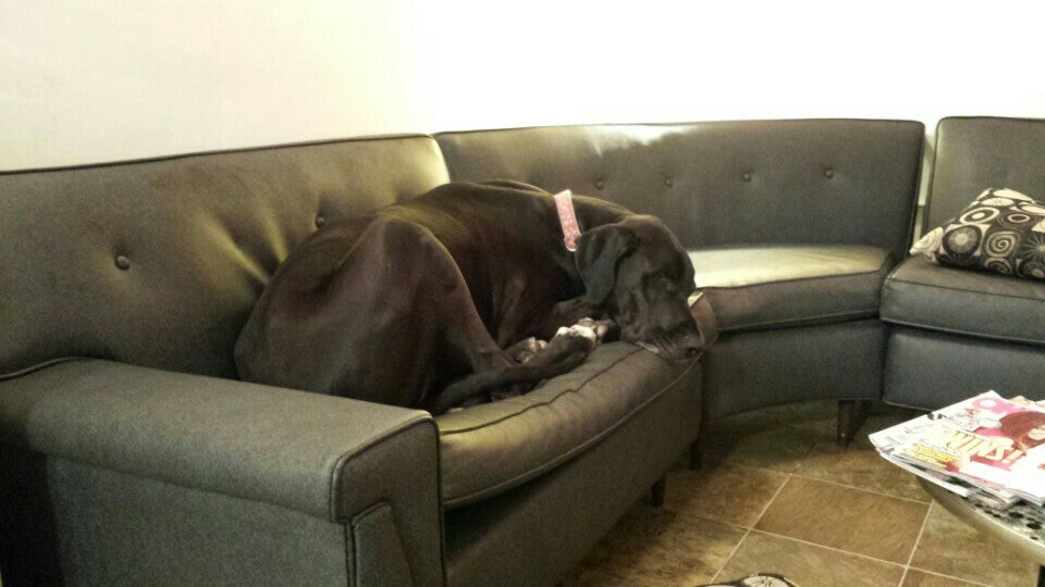 Photo credit: yellowpages