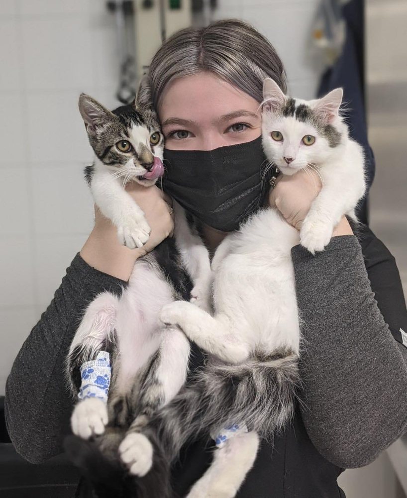 Geza Incze, DVM Huntingdon Valley