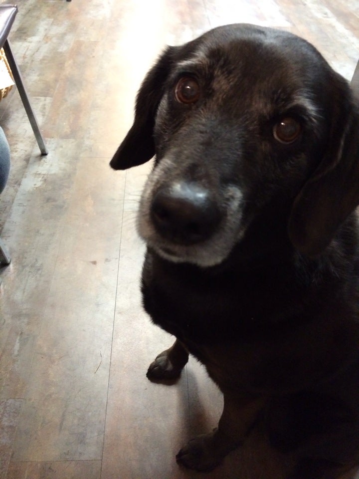 Photo credit: yellowpages