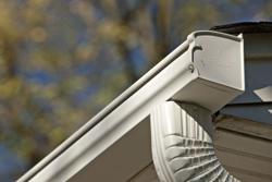 Leafguard Gutter Protection