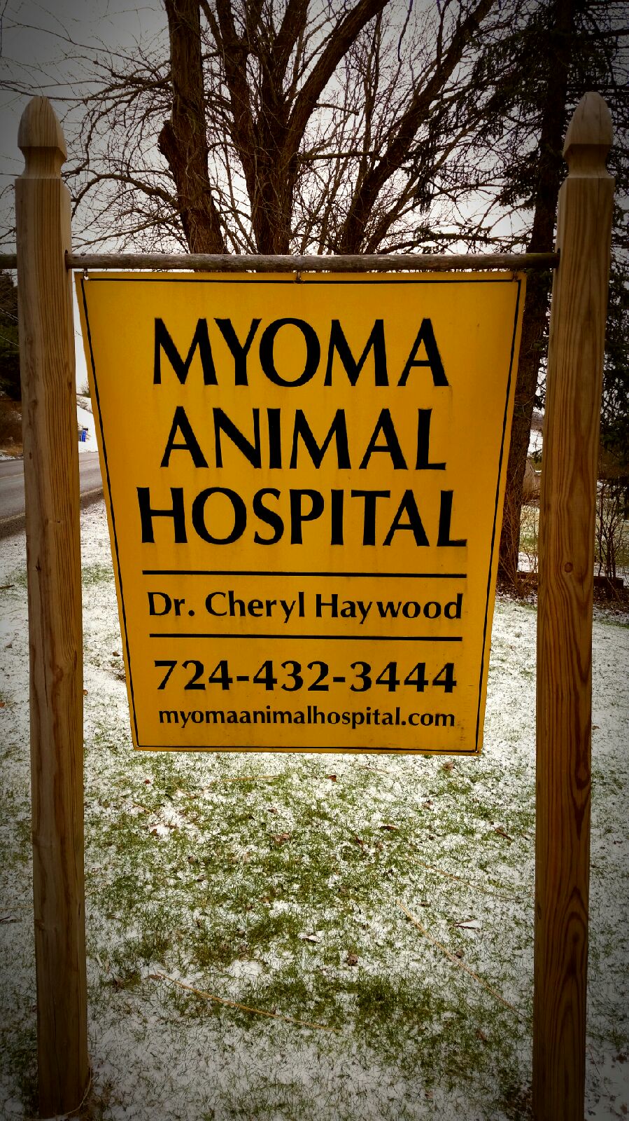 Myoma Animal Hospital 1230 Mars-Evans City Rd, Mars Pennsylvania 16046