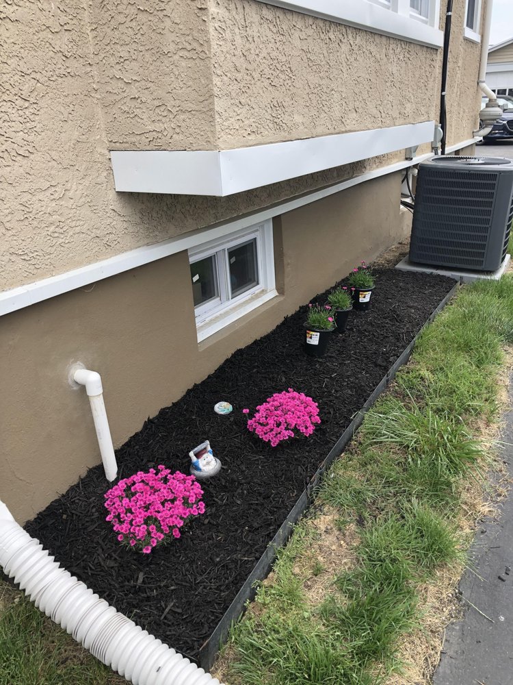 CSM Landscaping and Lawn Care LLC 107 Ridgeway Ave apt 3, Norwood Pennsylvania 19074