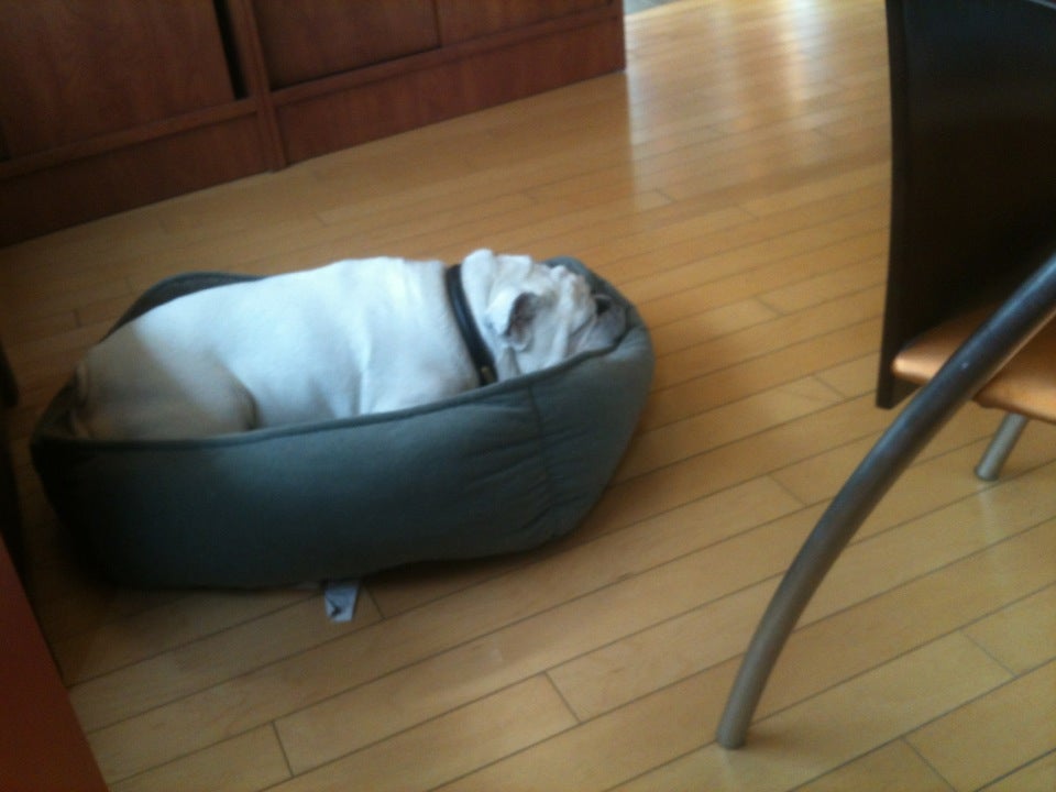 Photo credit: yellowpages