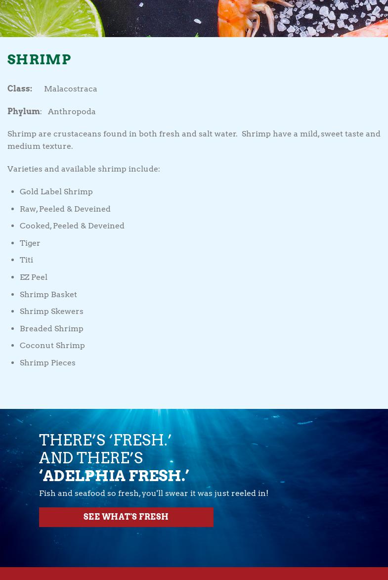 Adelphia Seafood Co Menu