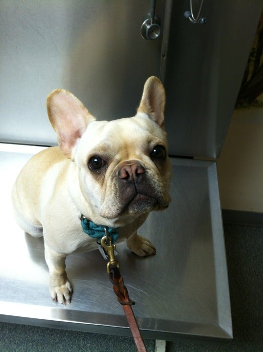 Troob Marc DVM South Kingstown