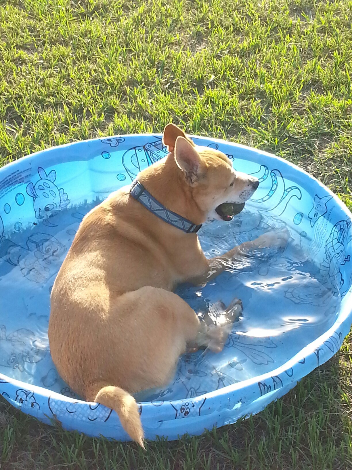 Photo credit: yellowpages