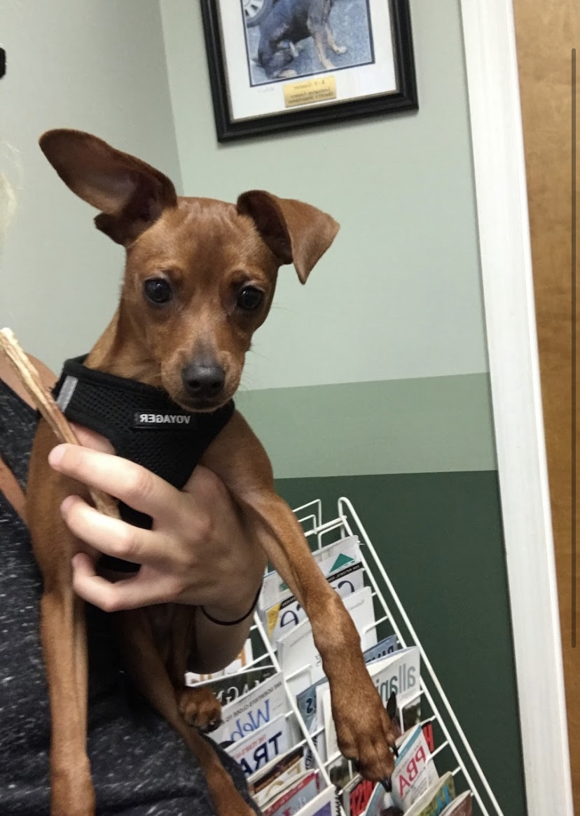 Photo credit: yellowpages