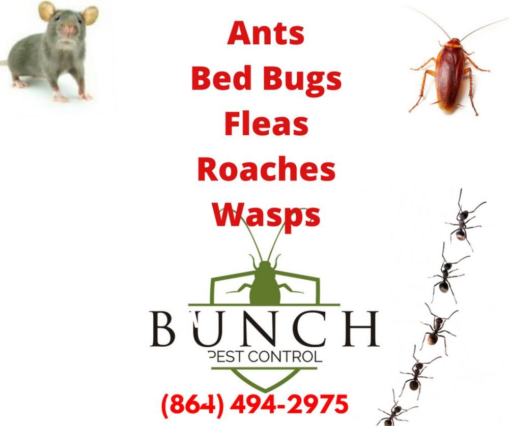 Bunch Pest Control 4 Piedmont Ave, Piedmont South Carolina 29673