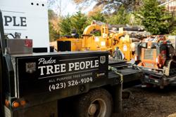 Paden Tree People, LLC