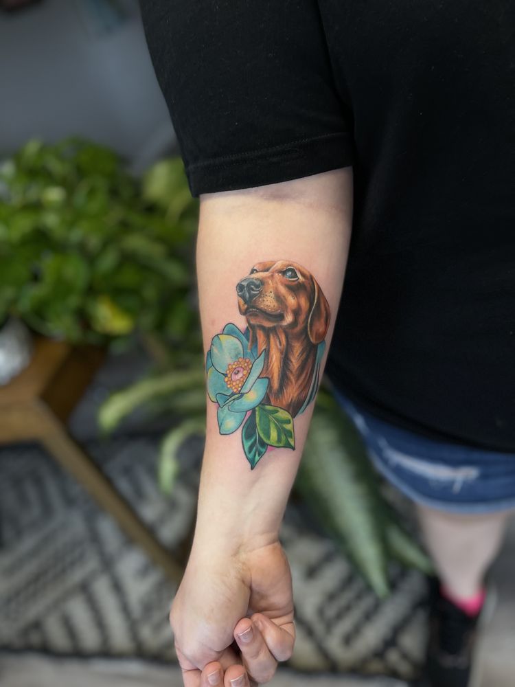 Photo credit: 