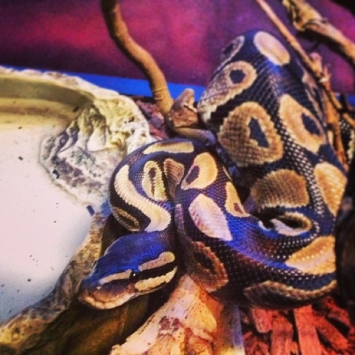 Photo credit: yellowpages