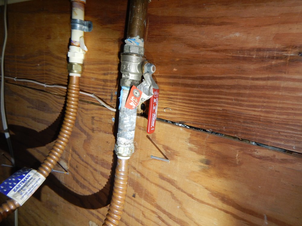 Photo credit: 