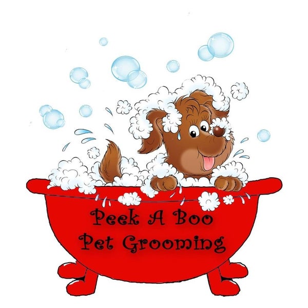Peek A Boo Pet Grooming 1000 S Concho St, Coleman Texas 76834