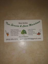 aviles tree service