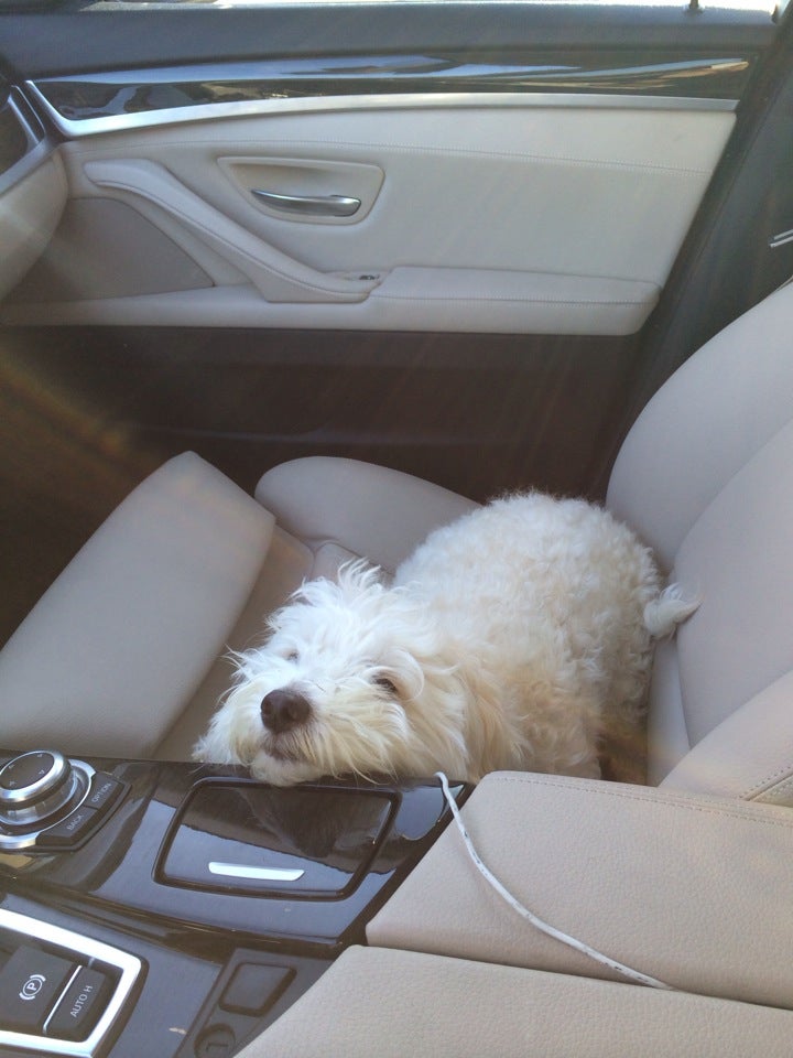 Photo credit: yellowpages