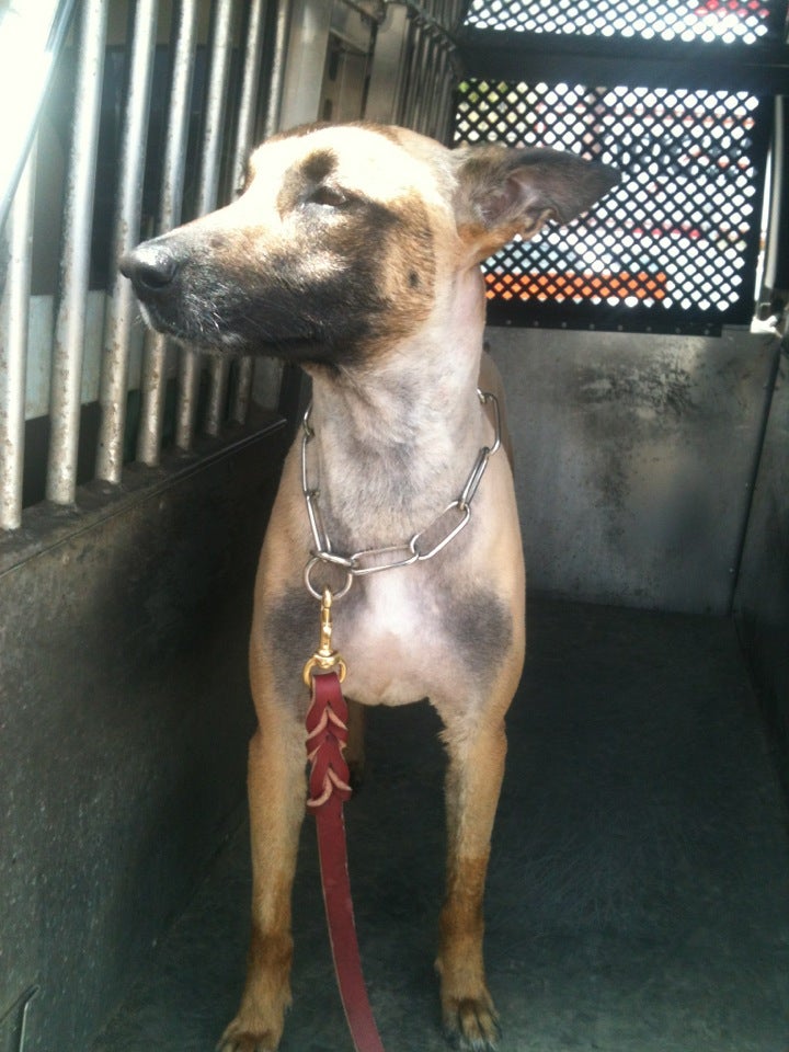 Photo credit: yellowpages