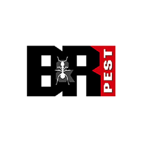 B&R Pest Services 17170 Jordan Rd, Selma Texas 78154