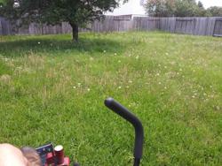 Apex lawn service and pressure washing