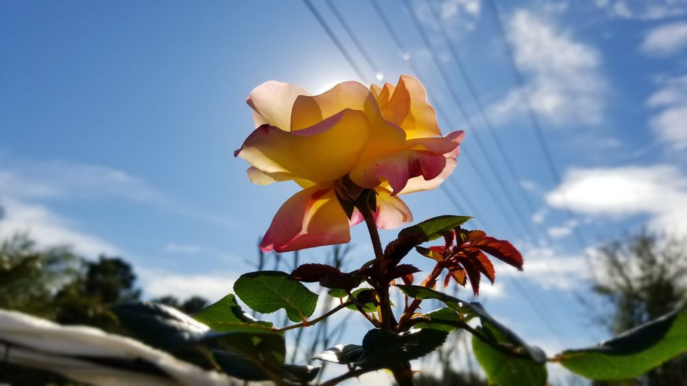 Photo credit: 