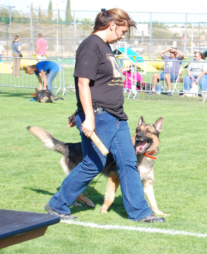 Photo credit: 