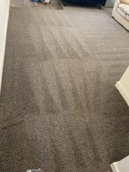 Dirt Detectives Carpet Cleaning, LLC