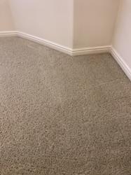Brenchley's Carpet Cleaning