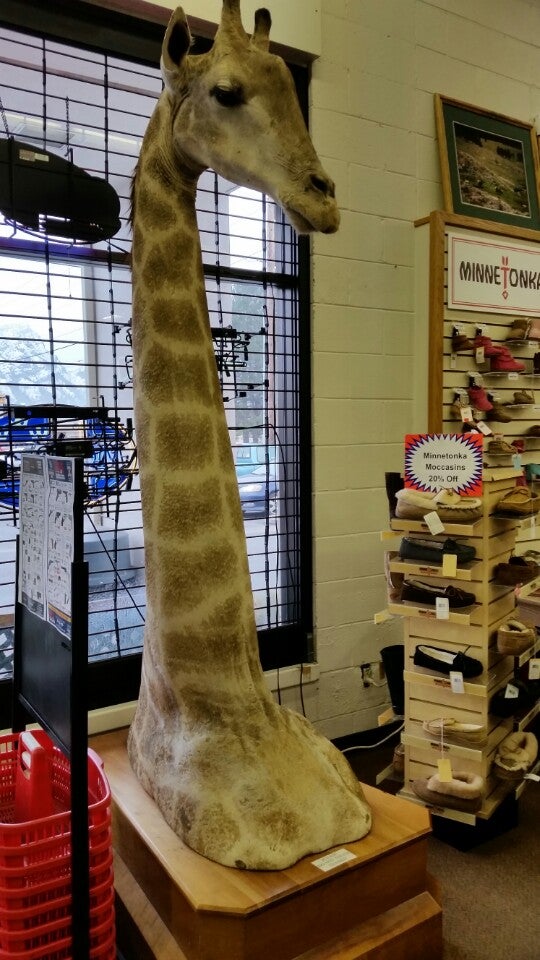 Photo credit: yellowpages