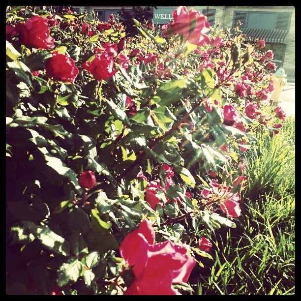 Photo credit: yellowpages