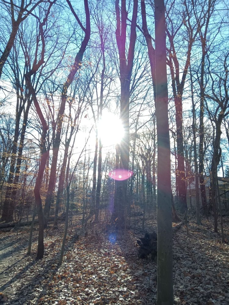Photo credit: 