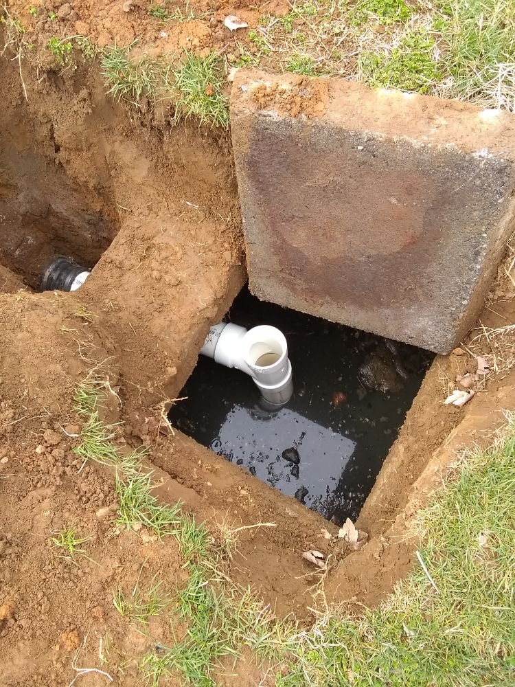Photo credit: 